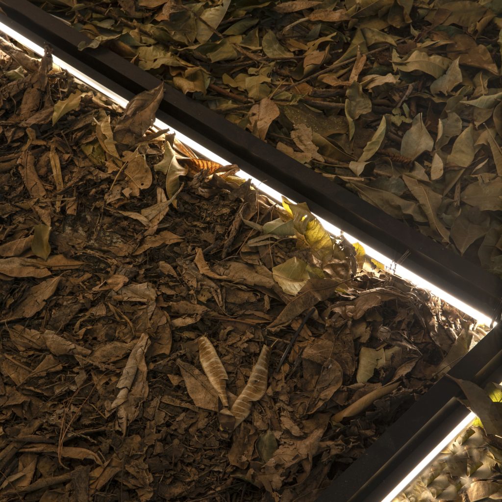 mgl3484 tamanho original 1024x1024